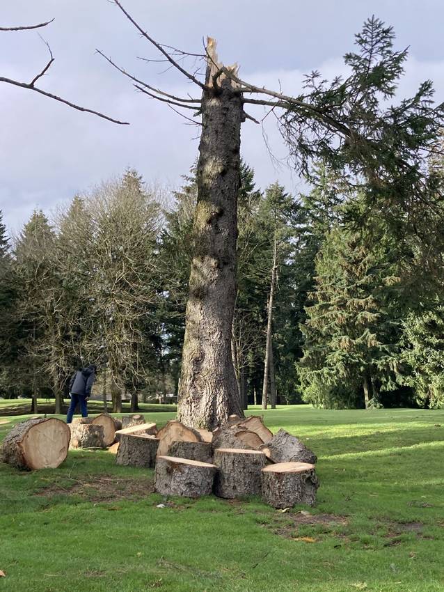 Rainier Golf &a...