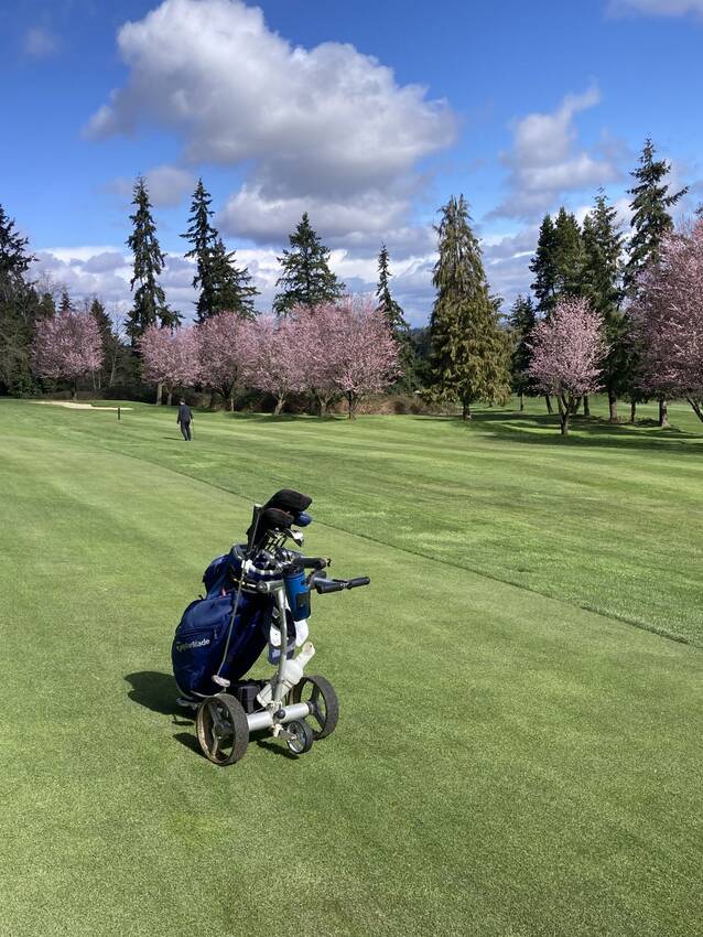 Rainier Golf &a...