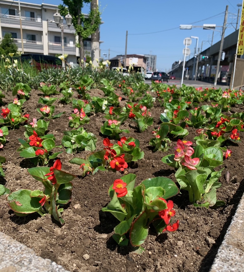 【学生さんと一緒に】稲荷公園で...