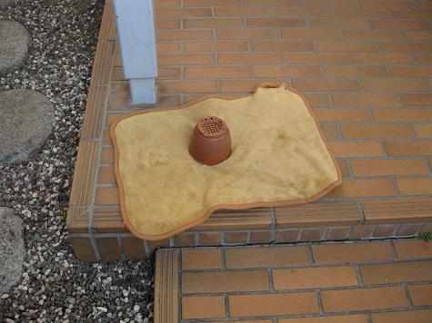 芸術の秋