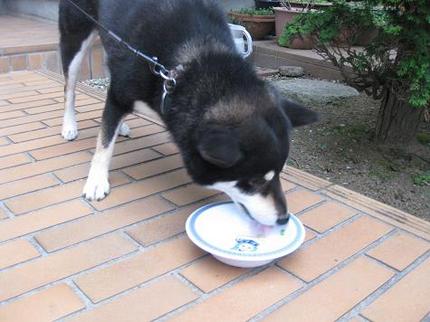 食欲旺盛