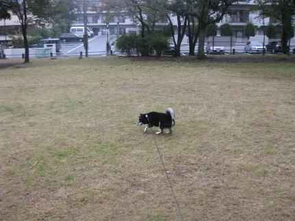 公園の草刈　その２