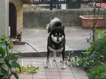 冬の避寒地