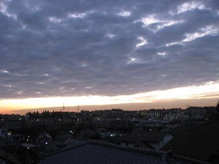 早朝