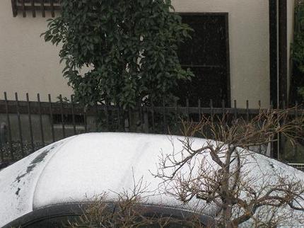 ゲッ、雪だ！