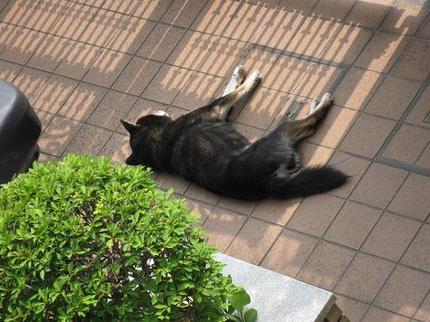 いい気なもんだね