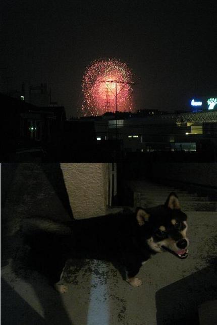 花火その２