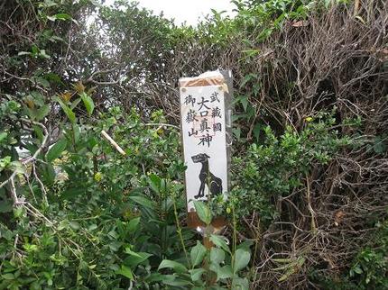 大口真神