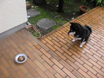 微妙な距離