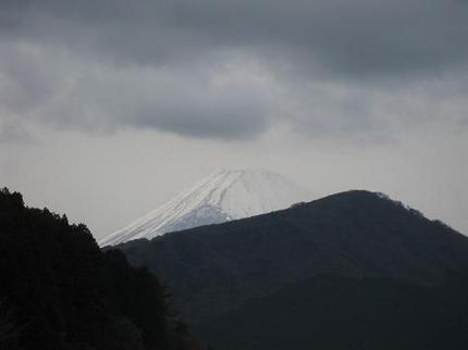 初富士山