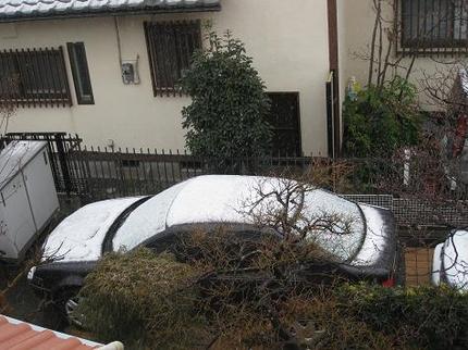 雪だ...