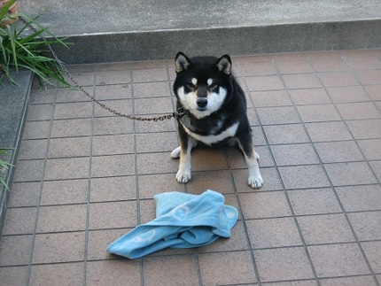 はやく！