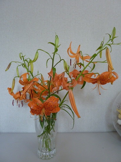 ユリ　その３　と細見美術館での...