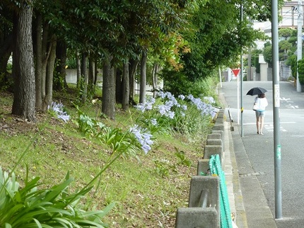 東向き...