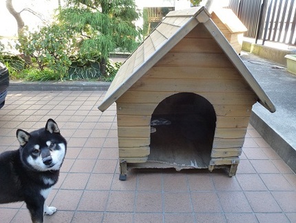 旧カイ邸　御苦労さまでした！
