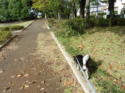 暖かい１日でした。