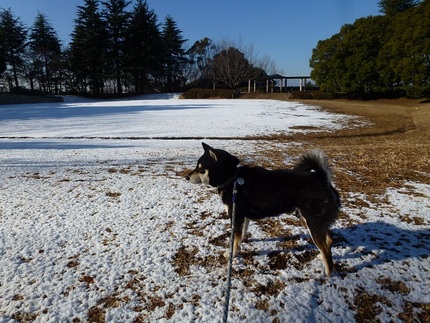 雪だ.. その２