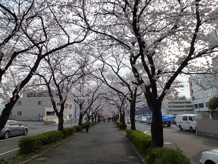 花見