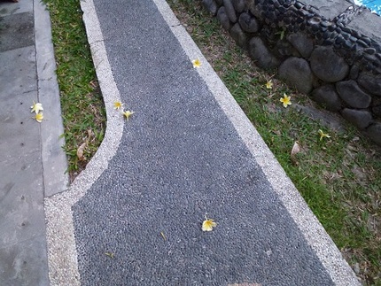 プルメリアの花　その６