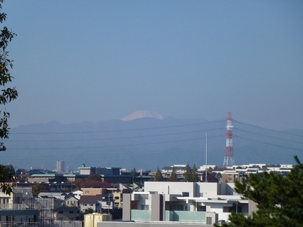 富士山