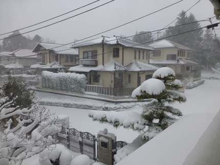大雪