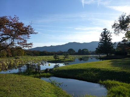 名古曽の滝址側から見た大沢池。...
