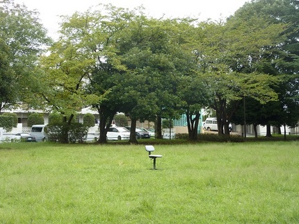 朝の散歩で出会った風景