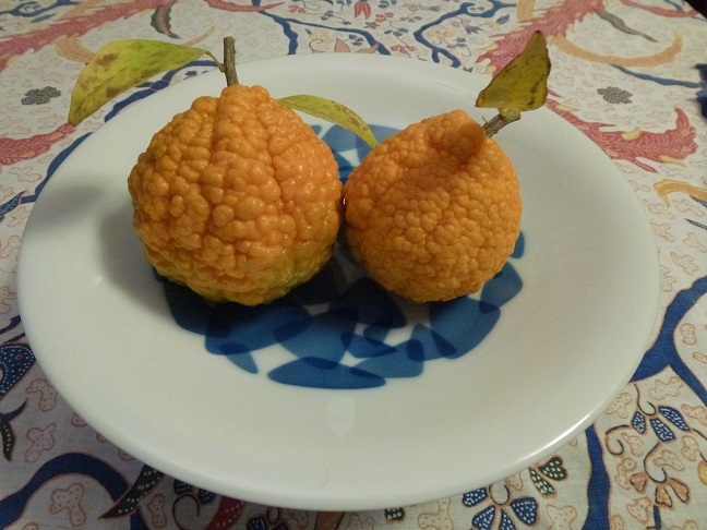 蜜柑？