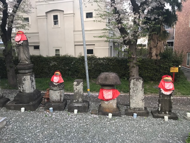 赤い前掛けが良く似合う