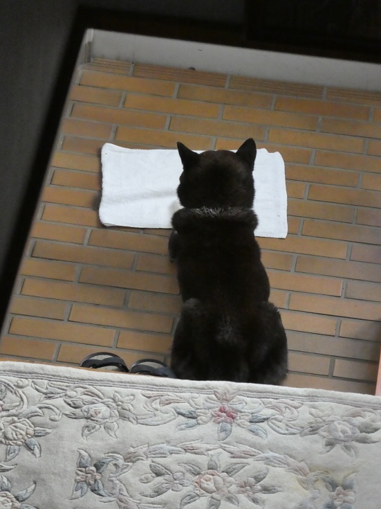 只今、反省中..　その３