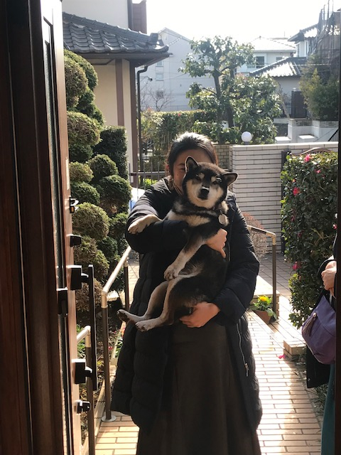 正月、挨拶に来た姪っ子に抱かれ...