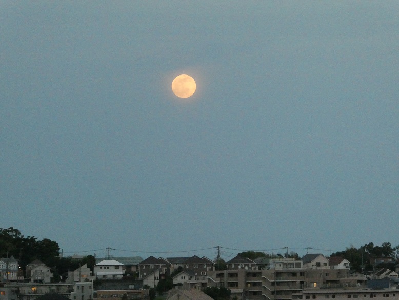 昨日、18時半頃、ちょうど雲の...