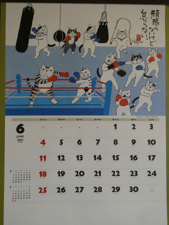 ネコのカレンダー　6月