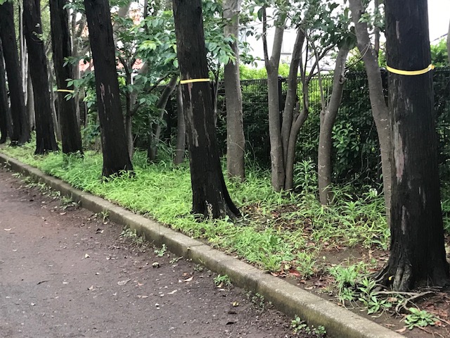 マーキングされています