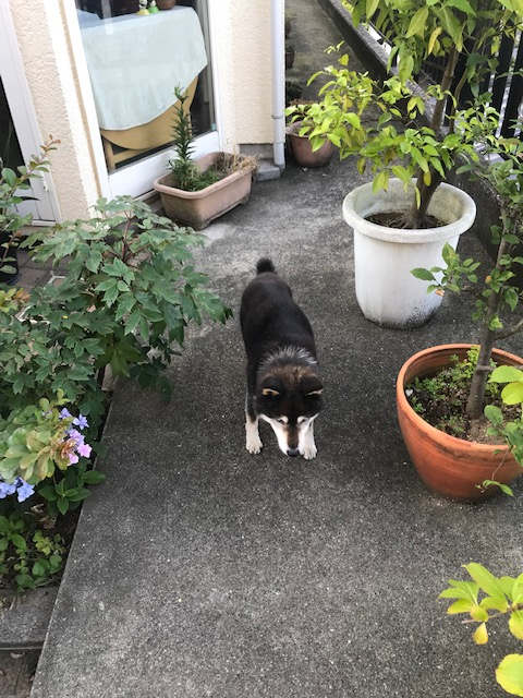 反省ポーズ？