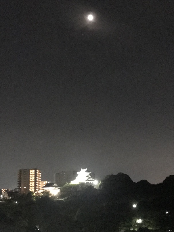 浜松城