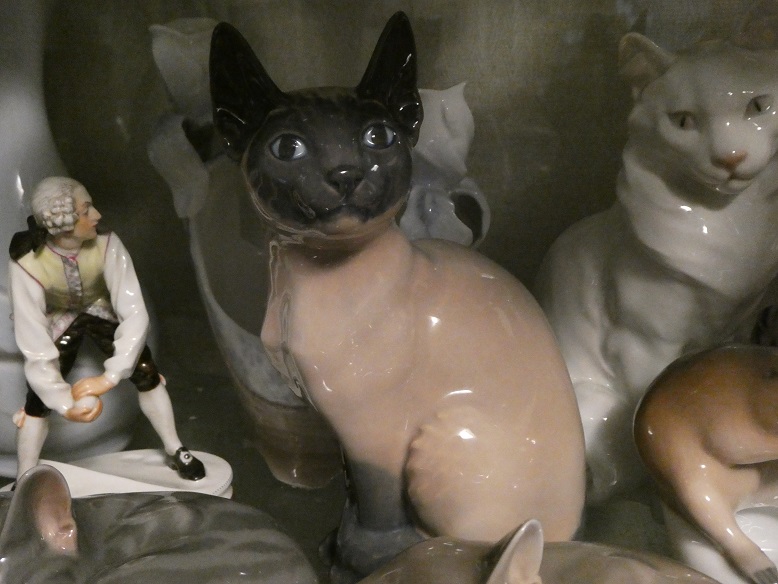 シャム猫
