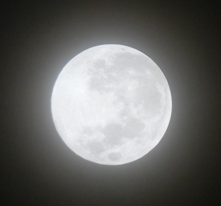 つい先ほど0時5分に撮影した月...