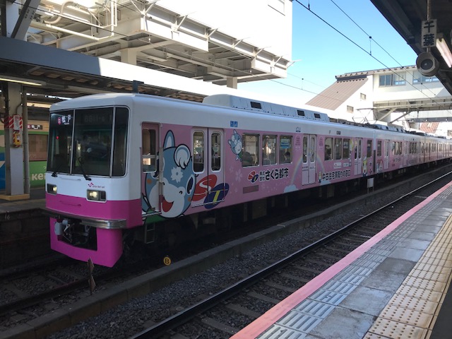 さくら電車？