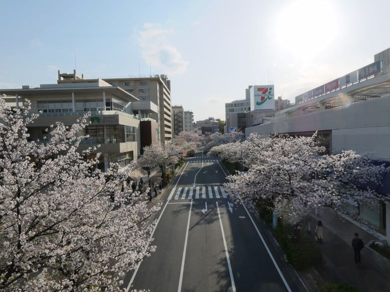 ひ