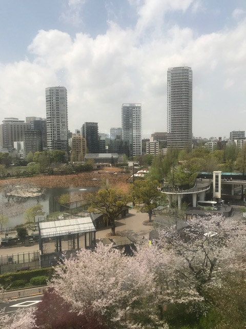 不忍池方面