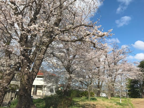 新石川公園　その１