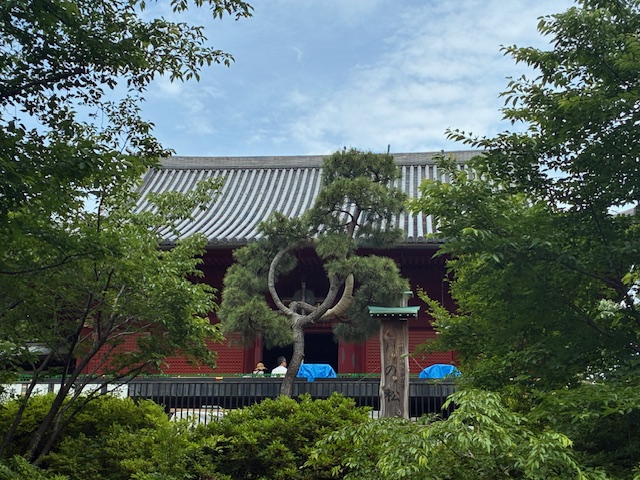 月の松