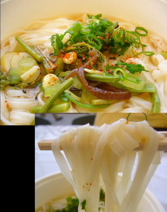 稲庭うどん