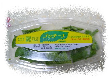 「吸塩植物」プッチーナ