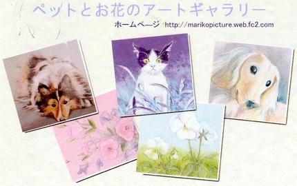 個展のご案内