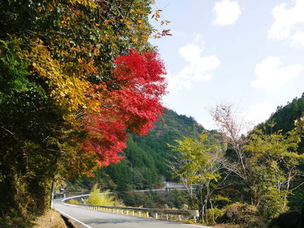 今日も　高松は　曇りのち晴れだ...