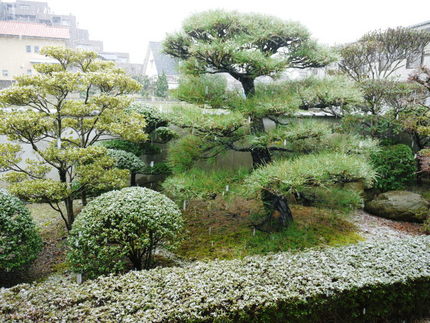 寒いと思ったら