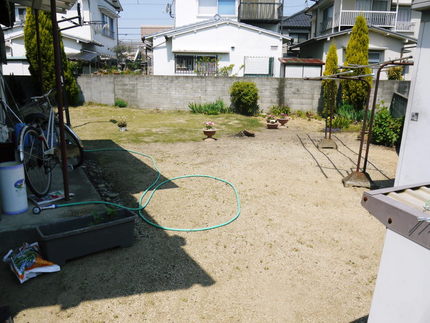 春の庭