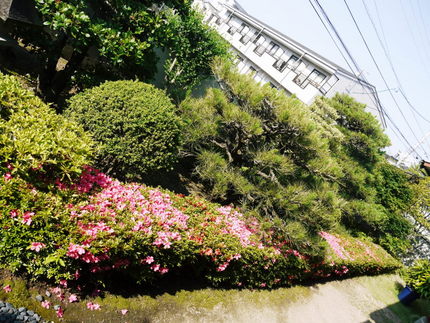 今日も暑そう！